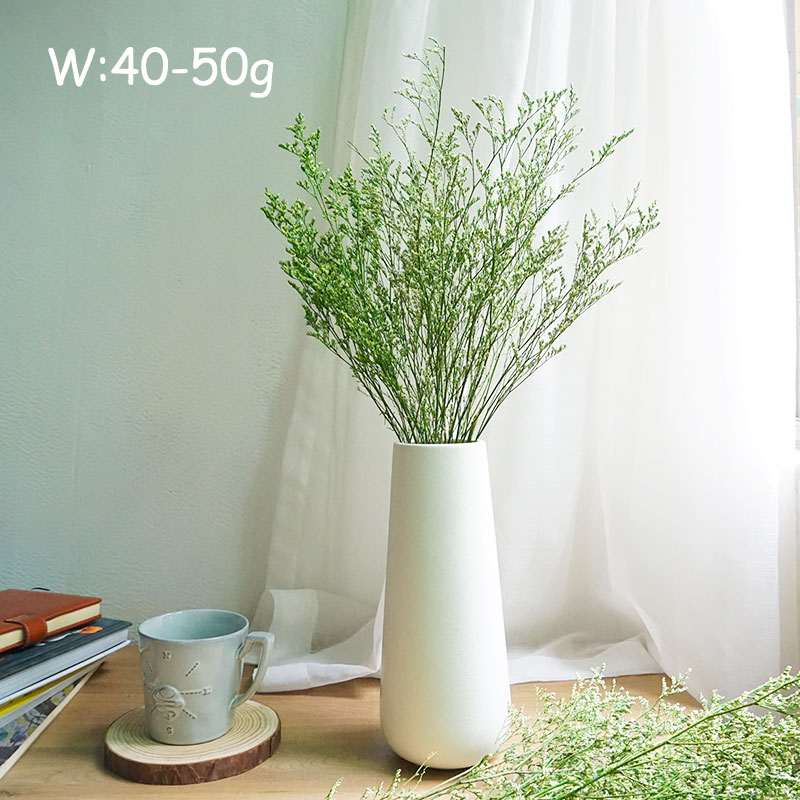 70g/Flor de Limonium Preservad - Dried Flower Bulk reseña y precio