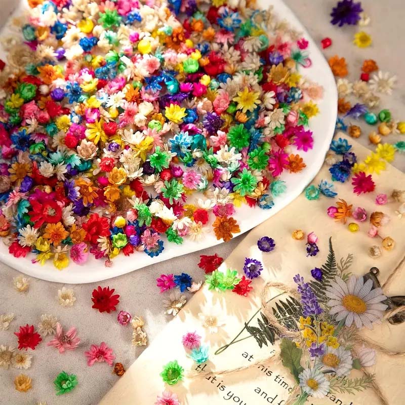 Flor de colores mezclados para - Resin Craft Ideas reseña y precio