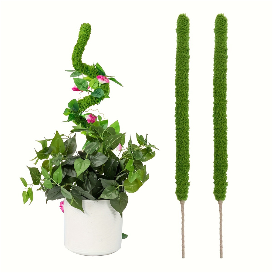 1 pieza de varilla de musgo ar - Terrarium Moss Art reseña y precio