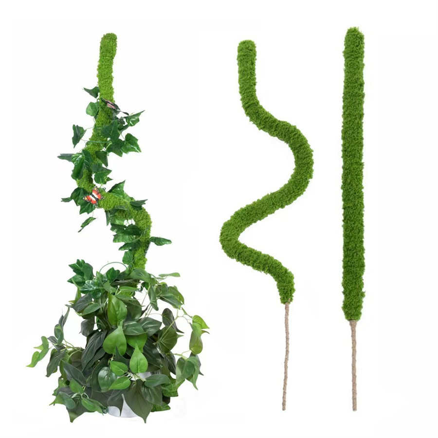 1 pieza de varilla de musgo ar - Terrarium Moss Art reseña y precio